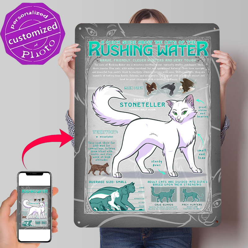 Guide to Rushing Water Cats Ti - огляд і ціна Retro Gaming Guide