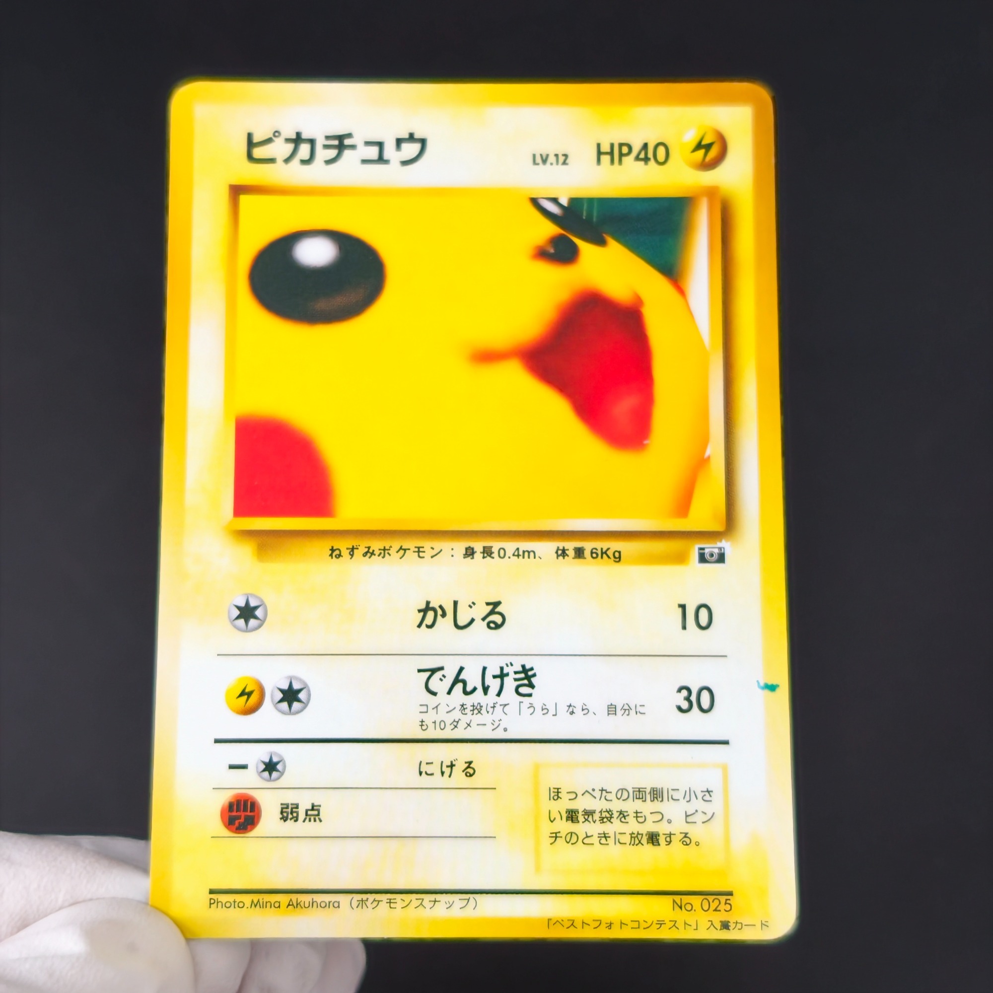 10PCS Pokemon Vintage Boy Bulb - огляд і ціна Retro Gaming Pokemon